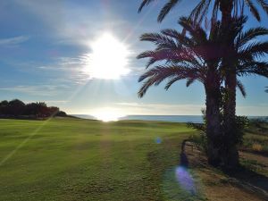 Cabo Del Sol (Ocean) 5th Palm Tree